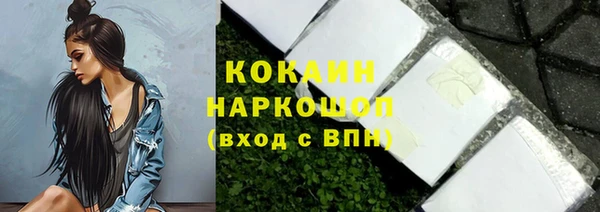 индика Армянск