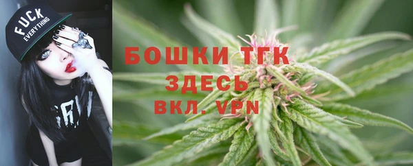 индика Армянск
