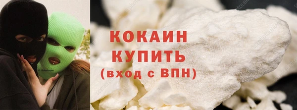 индика Армянск