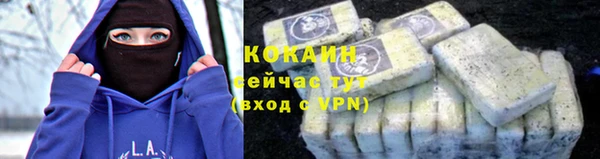 индика Армянск