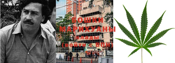 ешки Аркадак