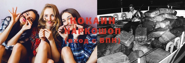 индика Армянск