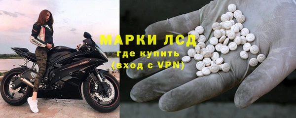 ешки Аркадак