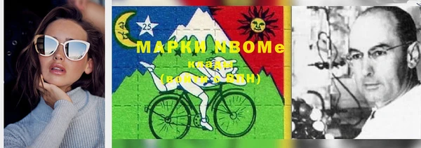 ешки Аркадак