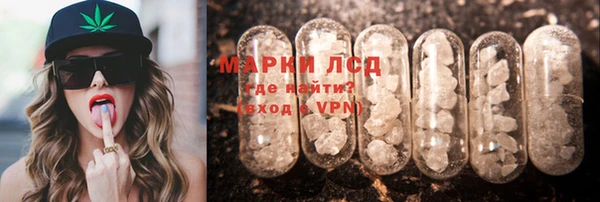 ешки Аркадак