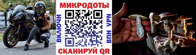 Псилоцибиновые грибы мицелий  Мензелинск 