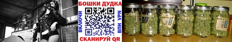 цены   Мензелинск  Бошки марихуана SATIVA & INDICA 